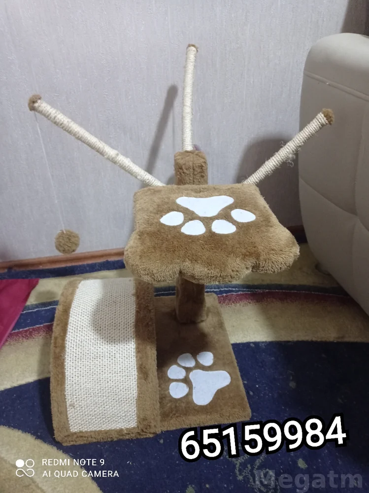 место для кота — фото 1