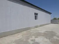 jay