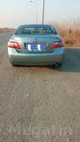 Öküz kelle stopnik