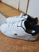 Lacoste