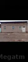 Satlyk jay