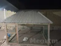 Kepderi ketek