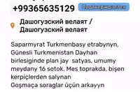 Mellek er 16 sot