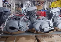 Iź motor divitel