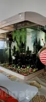 Akvarium