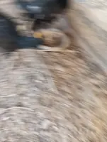 байтсовы