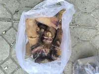 öküz ayak garyn icege