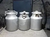 pilyaga