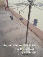 WESILKA PRISEPKA