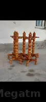 tesbi asylyan