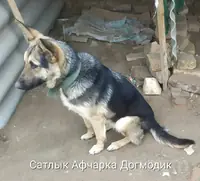 awcarka