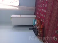 holodilnik