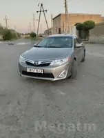 palta camry
