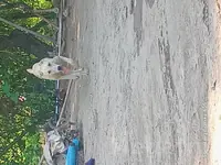 sarybay