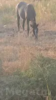 At
