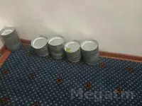 Fitji galyp
