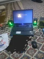 HP