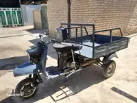 Российский муровей