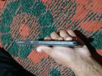 Redmi note 12