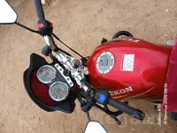 Fekon