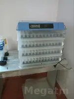 inkabator