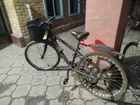 Satlyk Welik