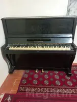Pionina Belarus