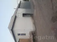 satlyk jay