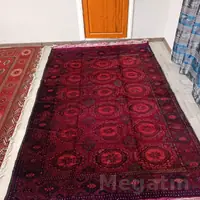 El haly ini2 mtr boyy3 mt