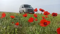 Şewrolet Astro GMC 1995г