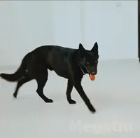 вео для вязки мальчик