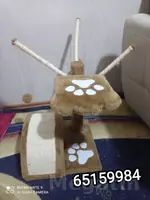 место для кота