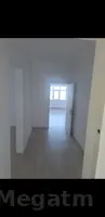 элитка